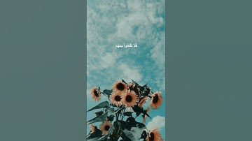 دقيقة من القرآن الكريم بصوت الشيخ ماهر المعيقلي سورة النساء #قرآن #religion #قرآن_كريم #قران