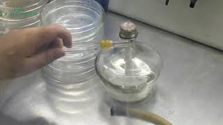 Test of Antibacterial Peptide -- Preparation of Bottom Plate