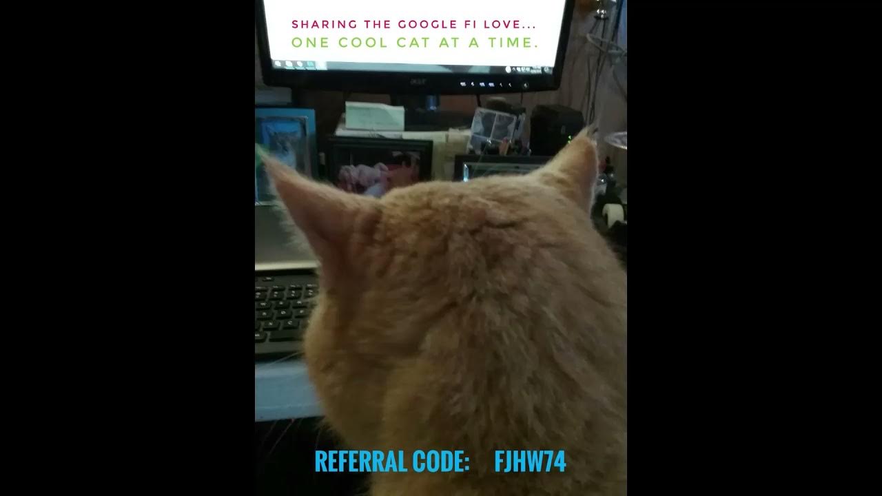 FJHW74 60 Google Fi Promo & Referral Code, 2024, Active & Valid