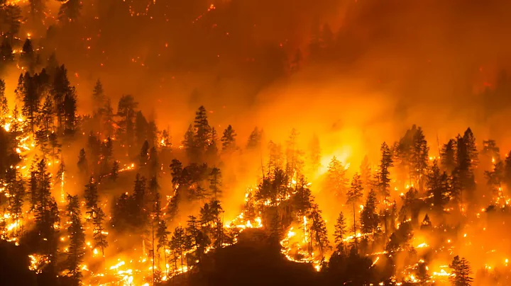 Canadian town evacuates over wildfires