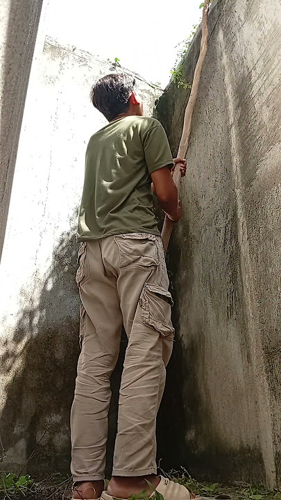 Download lagu bikin catton candy dari rumput yg berantai di tembok #lifeisbutadream #moneylove