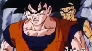 Goku carrapipano