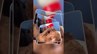 Çiftliğimizin Minik Patileri