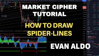 crypto face spider lines)