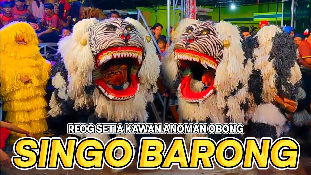SERAM!!!SINGO BARONG NGAMUK MEMANGSA ANAK KECIL KAKI SAMPAI KELUAR-REOG SETIA KAWAN TERBARU!!!