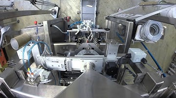 Integrated System | Vibratory Filler - Vertical Form Fill & Seal Bagger | Rice