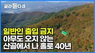 지리산을 수십 번 간 사람도 잘 알지 못하는 지리산 10대 전설의 암자┃1,200m 오지 산골에서 40년 째 홀로 수행하고 있는 스님┃가을에 파묻힌 외딴 암자┃한국기행┃#골라듄다큐