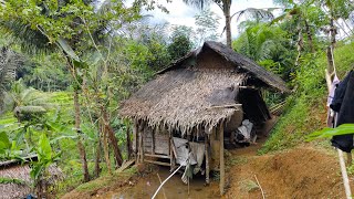 Download Lagu NEKAD‼️MENGHABISKAN MASA TUA DI GUBUK KECIL TENGAH HUTAN JAUH KEMANA-MANA MP3 Download Lagu NEKAD‼️MENGHABISKAN MASA TUA DI GUBUK KECIL TENGAH HUTAN JAUH KEMANA-MANA MP3