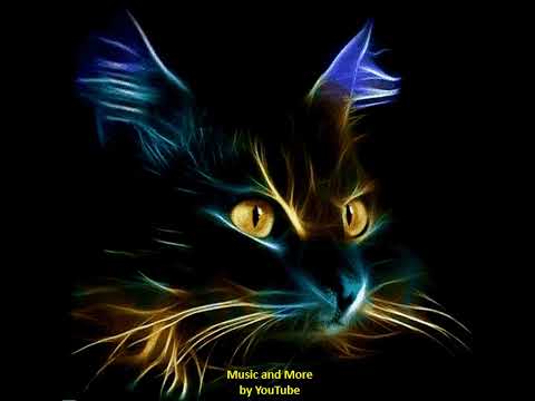 Howard Carpendale   Ti Amo Remix