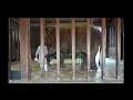 2024.02.05 ズゼのトレーニング　（寝室）