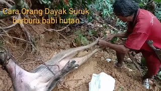 Cara Orang Dayak Suruk Kalimantan, berburu babi hutan menggunakan Jerat.