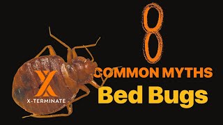 8 Common Bed Bug Myths Debunked!