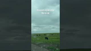 CountrysideDrive #drive #contryside #california