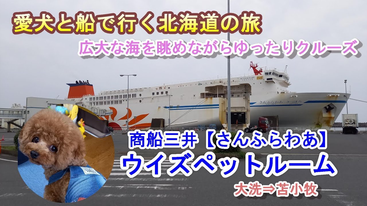 さんふらわあ ウィズペットルーム で行く北海道の旅 トイプードルの弥太郎 愛犬と船旅 商船三井さんふらわあ Youtube