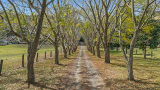450 Mount Kilcoy Road, Mount Kilcoy