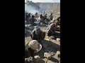 صناعة الحشيش في افغانستان صناعة الحشيش في افغانستان