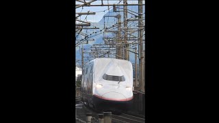 『E4系 Max P21編成・団体臨時列車 ｢ 秋の美 新潟･庄内号 ｣[9530B] 』2019/10/26(JR東北新幹線・福島駅～郡山駅｢福島トンネル｣)