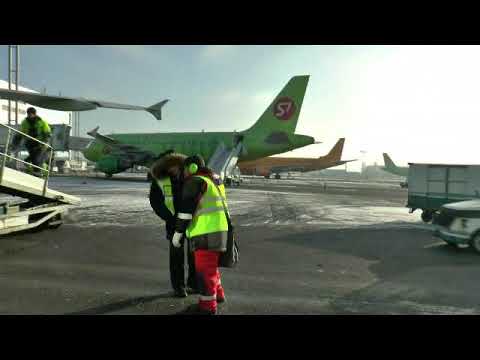 Наземное обслуживание (Ground Handling) ВС А-319 авиакомпании S7 Airlines в аэропорту Домодедово