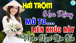 Hái Trộm Hoa Rừng, Nhật Ký Đời Tôi🌟Liên Khúc Bolero Trữ Tình Bất Hủ Ngọt Lịm Tim Toàn Bài Hay