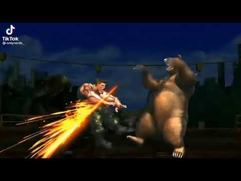 bear fart