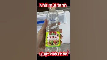 Quạt điều hòa Sunhouse SHD7723 bị hôi #sunhouse #quatdieuhoa #maylanh