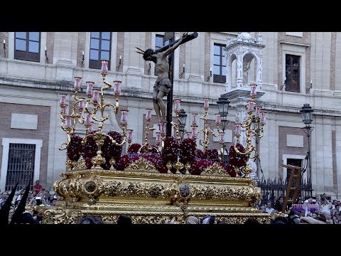Real, Ilustre y Fervorosa Hermandad Sacramental de la Pura y Limpia Concepción de la Santísima Virgen María, Ánimas Benditas del Purgatorio y Cofradía de Nazarenos del Santísimo Cristo de la Salud, María Santísima del Refugio, Santa Cruz, Nuestra Señora del Patrocinio, Santa Bárbara y San Bernardo