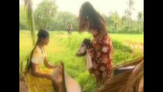 sri deevi wage.wmv