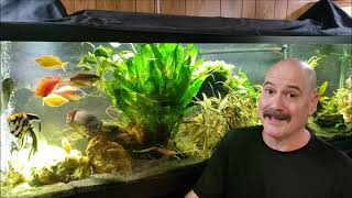 How I Remove Nitrate And Stabilize pH