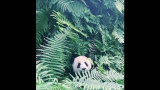 Desiigner - Panda (Bassti Lofi Remix)