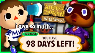 I Spent 100 Days In Animal Crossing Wild World...on the DS