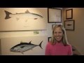 4 Reasons to Subscribe to the Karen Talbot Art YouTube Channel