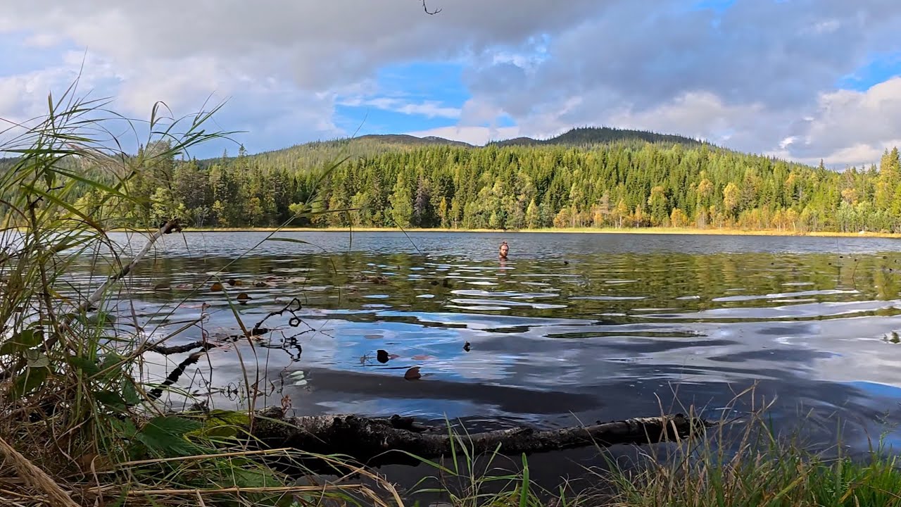 v006. Dombås to Lomsdal-Visten National Park