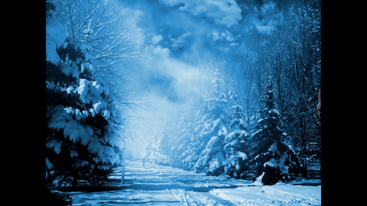 Казачья вера-Зимняя вьюга(стихи поэт и писатель Алексей Ларин ...