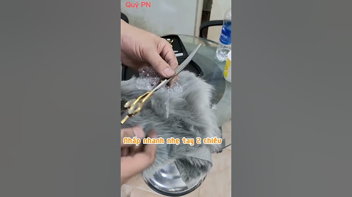 Cách thử độ bén khi mới mua kéo cong cắt thú cưng grooming poodle phốc sóc loại tốt