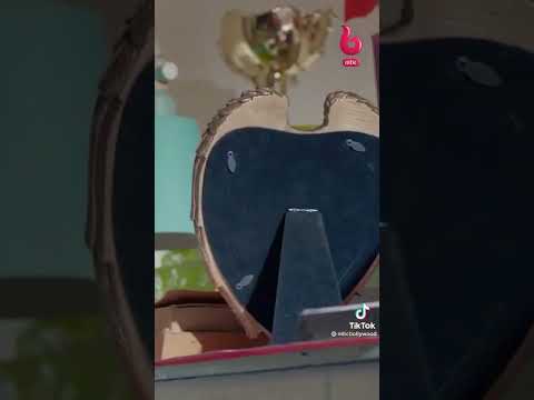 فانش يكشف حقيقت ريدهيما عنجد شي ناهي عميلة سرية