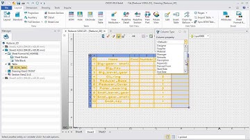 ZW3D In-place Editable Table
