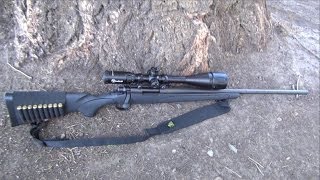 First Shots: Remington 700 ADL .308 Win. Rifle (HD) screenshot 1