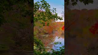 Estacion dorada/ golden season #oldies #music #nature