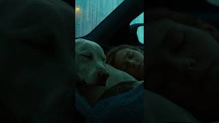 Rain and Thunder Sounds to Fall Asleep Fast | Car Roof for Anxiety Relief #Shorts