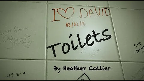 'Toilets' by Heather Collier