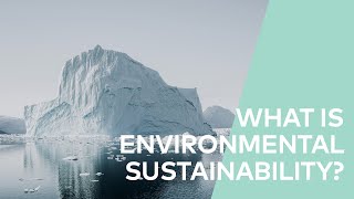 What is Environmental Sustainability?