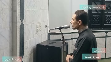 تلاوات المحراب 🎙️🎧والتفت الساق بالساق😭 تلاوة مباركة ل سورة القيامة