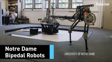 This Robot May Help Disabled People Walk Again