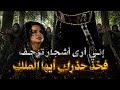 قصة زرقاء اليمامة كاملة جودة عالية 2026