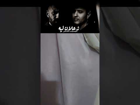 فيديو ١٣ أغسطس ٢٠٢٥