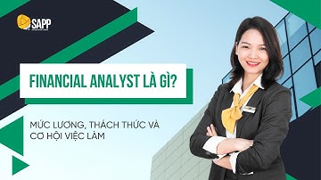 Chuyên Gia Phân Tích Tài Chính (Financial Analyst) Là Gì? Mức Lương Nghề Phân Tích Tài Chính