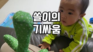 말하는 선인장 vs 개구쟁이 빡쏠의 대결!!!! 과연..누가 이겼을까?!