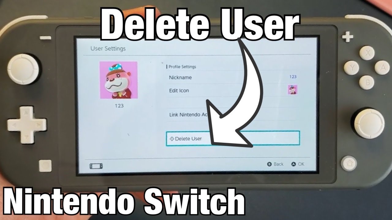 PSA: When claiming your User ID for a Nintendo Account, you know you've  done it correctly if you see this grey bar when you login. :  r/NintendoSwitch