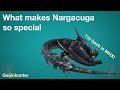 MHX: Why Nargacuga is Special