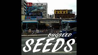 BUGSEED  DAYDREAMER (NEW ALBUM 'SEEDS' OUT NOW)